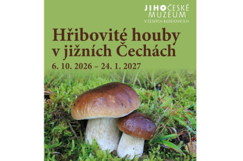 Hřibovité houby v jižních Čechách