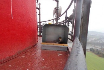 Písek umístil na teplárenské komíny budky pro sokoly