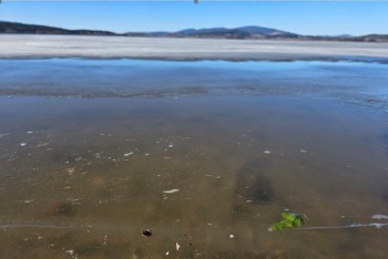 Lipno mělo stejnou koncentraci sinic jako produkční rybníky v létě