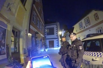 Květinová výzdoba nevydržela noční tah podnapilého muže Květinová výzdoba nevydržela noční tah podnapilého muže
